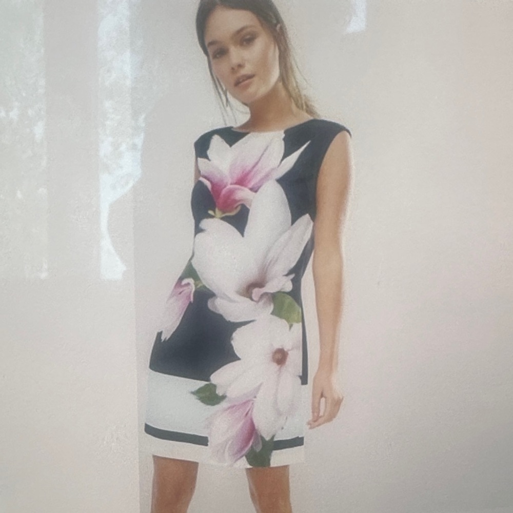 Ted Baker Magnolia Sleeveless Sheath Mini Dress Size 1.